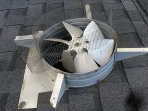 broken fan for Centerville Raccoon Removal