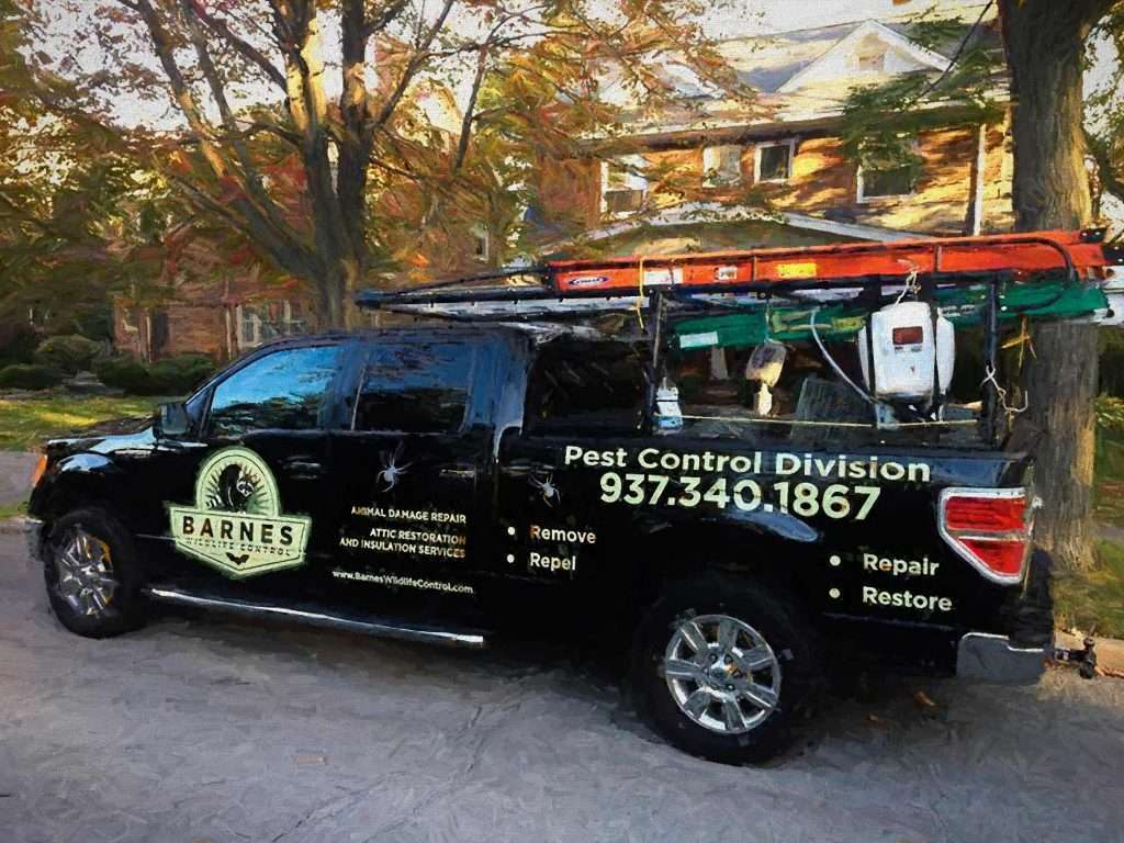 Hire a Wildlife Trapper Barnes Wildlife Control