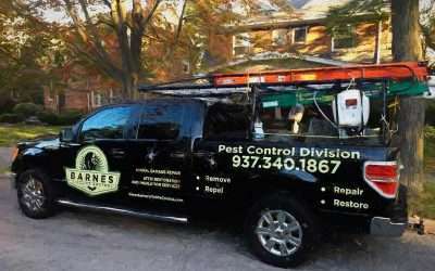 Hire a Wildlife Trapper