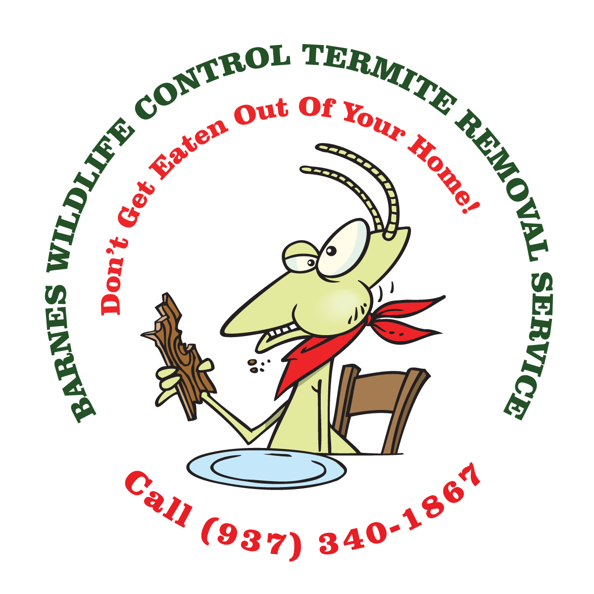 Termite Removal Service Greater Dayton Ohio Erradicate Termites Fast