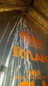 Huber Heights Bird Control