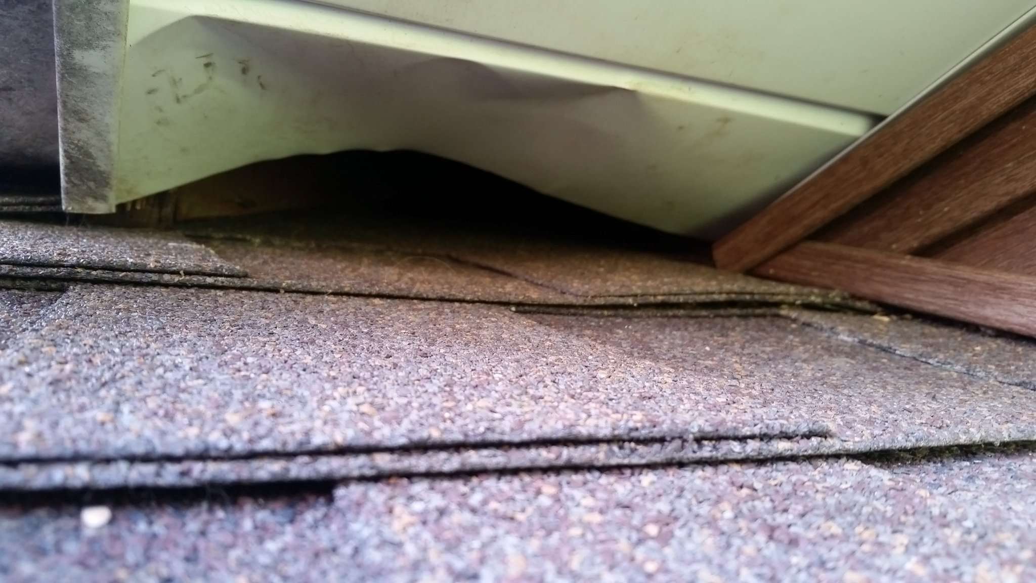 Raccoon going into roof soffit