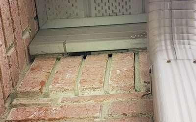 Barnes Wildlife Control’s Shelby County Ohio Bat Control Service