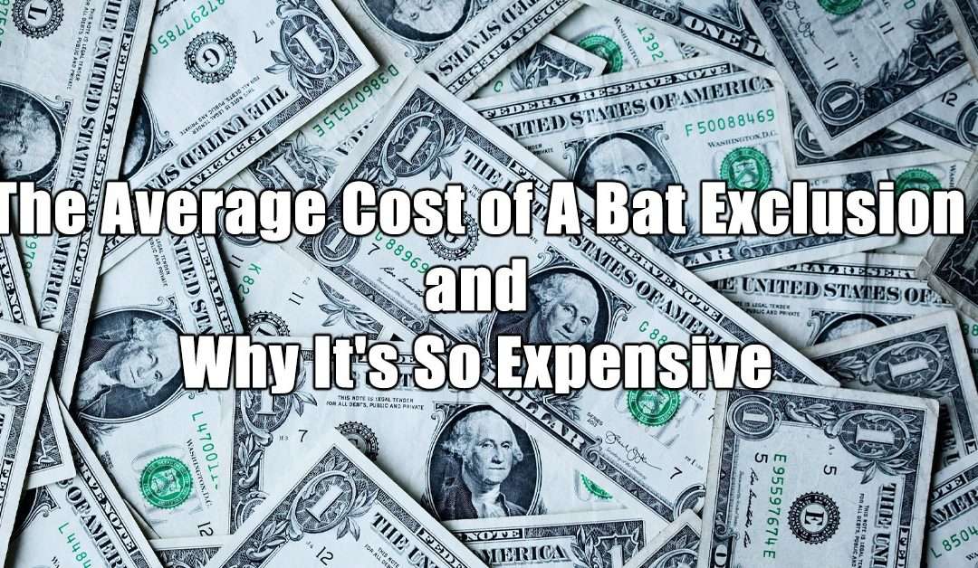 The Cost of Bat Removal