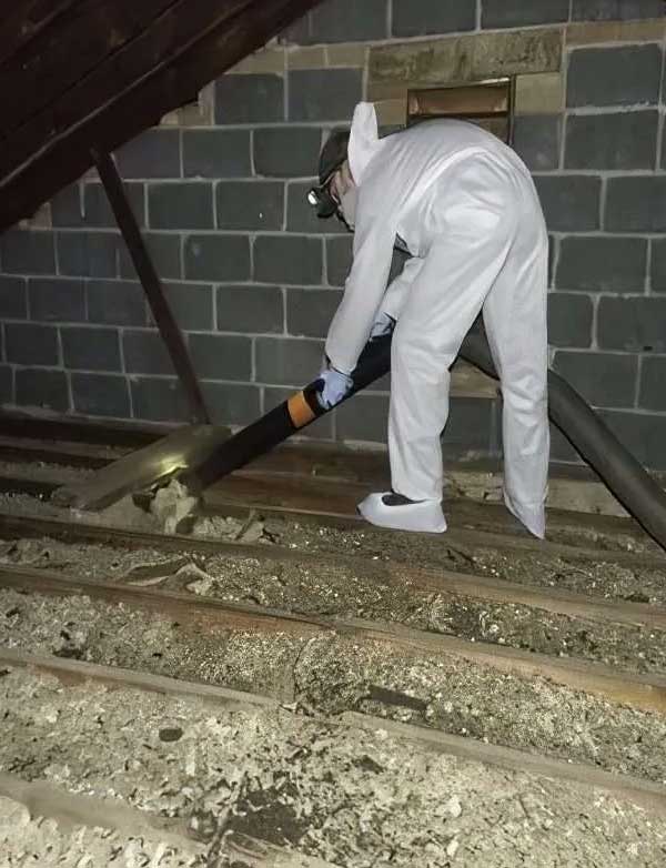 Seven Star Animal Removal by Barnes Wildlife Control provides bat guano cleanup and sanitation.