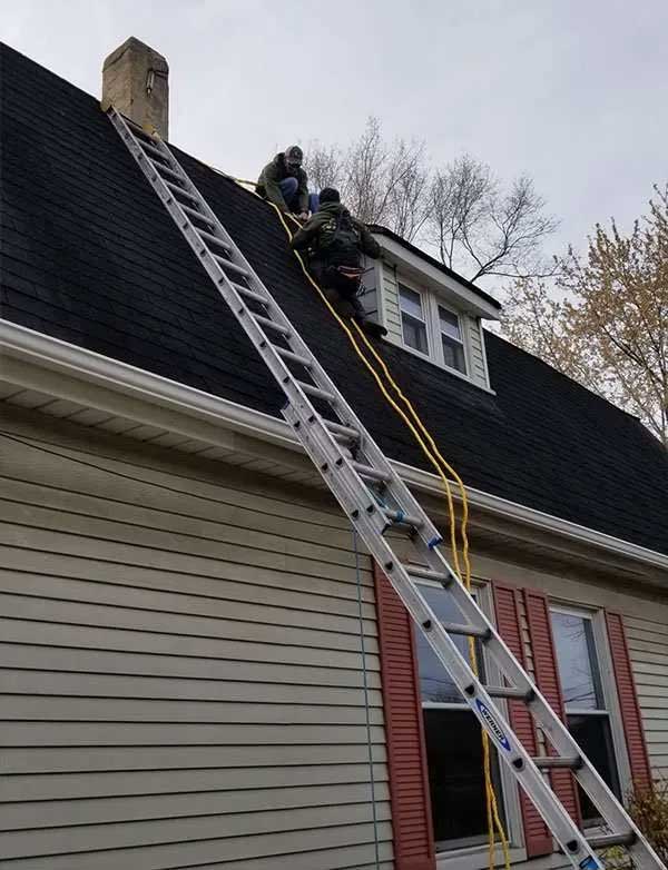Seven Star Animal Removal by Barnes Wildlife Control provides exceptional bat removal services.