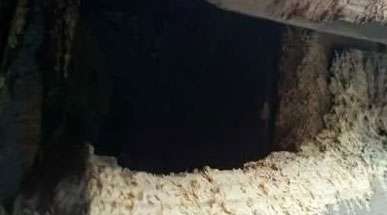 Englewood squirrel removal service page: fascia damage due to squirrels chewing on wood.