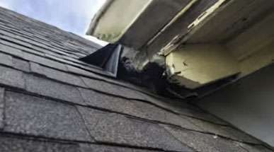 Englewood squirrel removal service page: roof damage done by squirrels.
