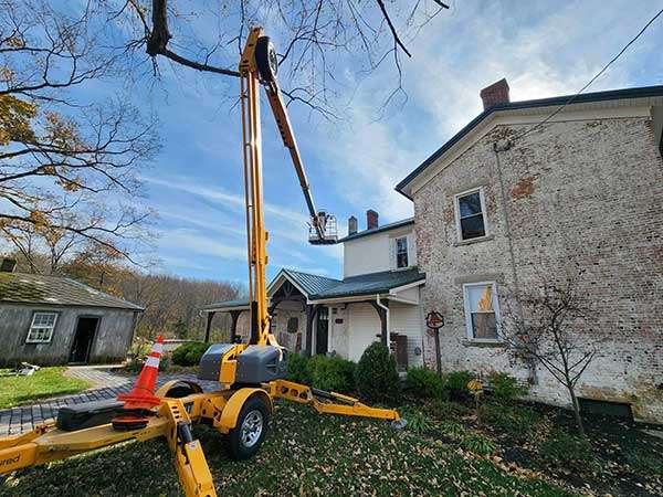 Chimney Swift Removal Page: We have equipment that can reach the higest chimneys.