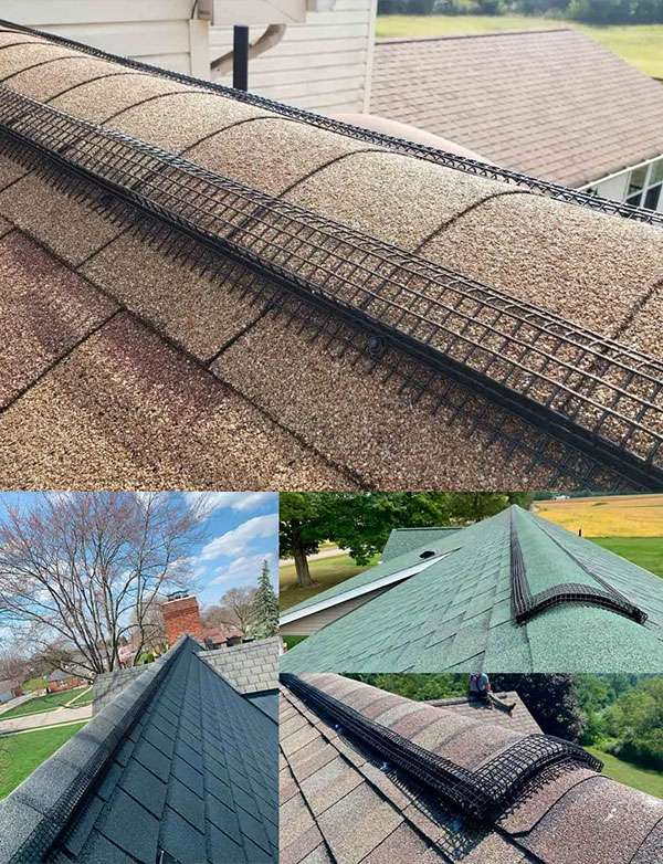 Seven Star Animal Removal by Barnes Wildlife Control provides their peak protector system.