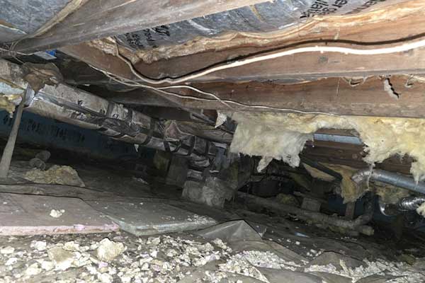 Raccoon Damages Sidney Ohio Crawlspace Blog photo: Damaged wiring in crawlspace