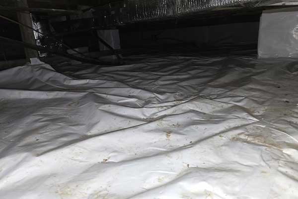 Raccoon Damages Sidney Ohio Crawlspace Blog photo: Debris removed and crawlspace covered