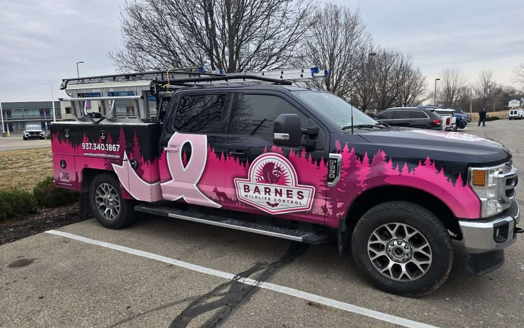 The Power of Pink Wildlife Control