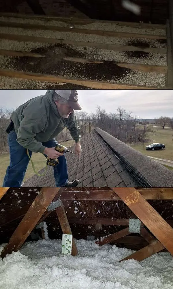 Arcanum Ohio Bat Removal Service Page: Our Arcanum Bat Removal experts clean attics, put in Peak Protectors, a do full attic restorations.