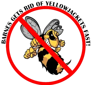 get rid of yellowjackets