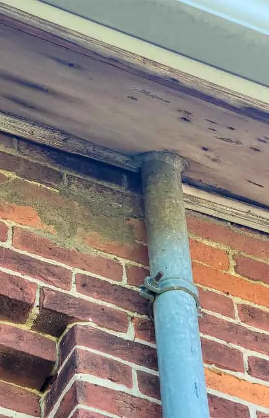 Oakwood bat removal service page photo of an access point into an attic along the edge of a soffit.