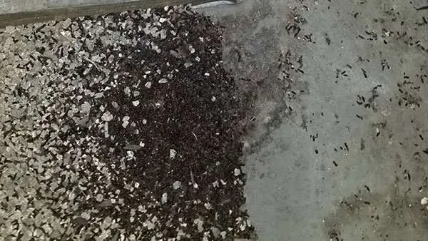 Our Wapakoneta Ohio Bat Removal Service remove bat guano from attics then fully sanitize the space.