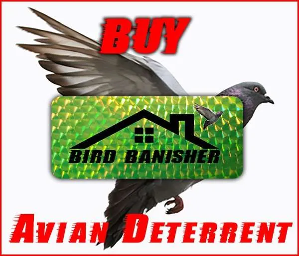 dayton animal pest removal graphic for The Bird Banisher