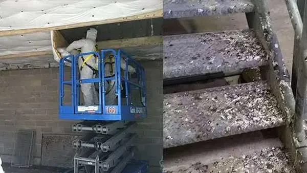 On the left Pigeon excrement and bird waste being sanitized & removed from this building. On the right Bird droppings on stairs and floor from pigeon poop.