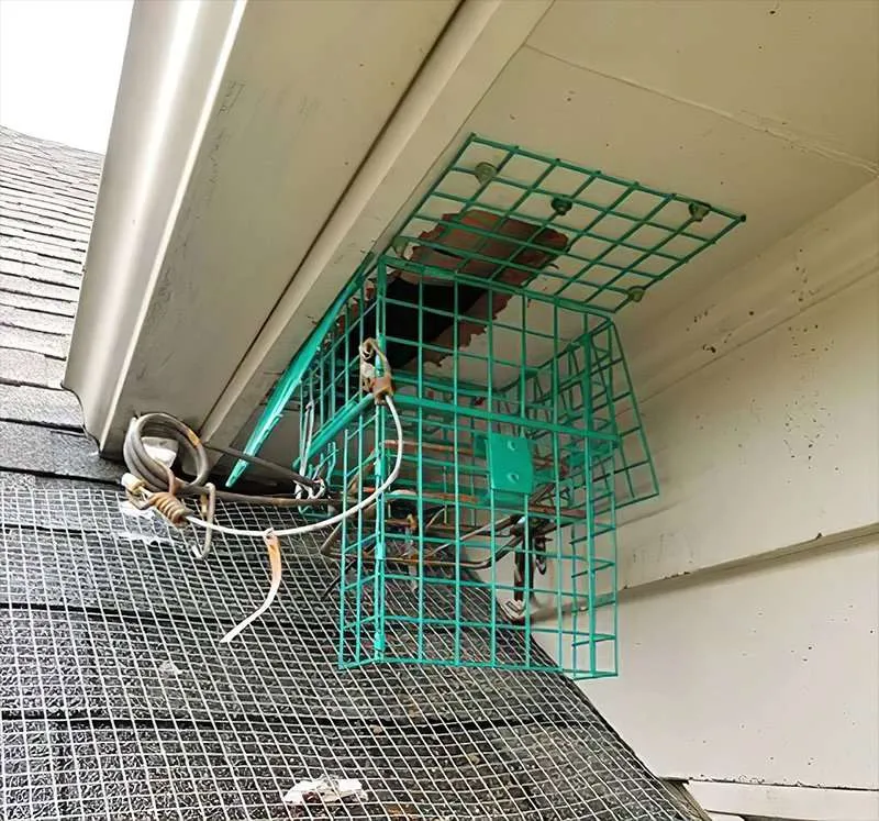 DAYTON ANIMAL PEST REMOVAL photo of the green hornet trap