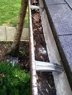 Squirrels love chewing into metal gutters.
