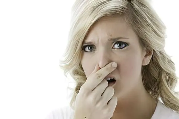 Stink Bug Removal Service Page Photo: Women holding her nose