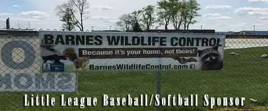 Barnes Little League support photo