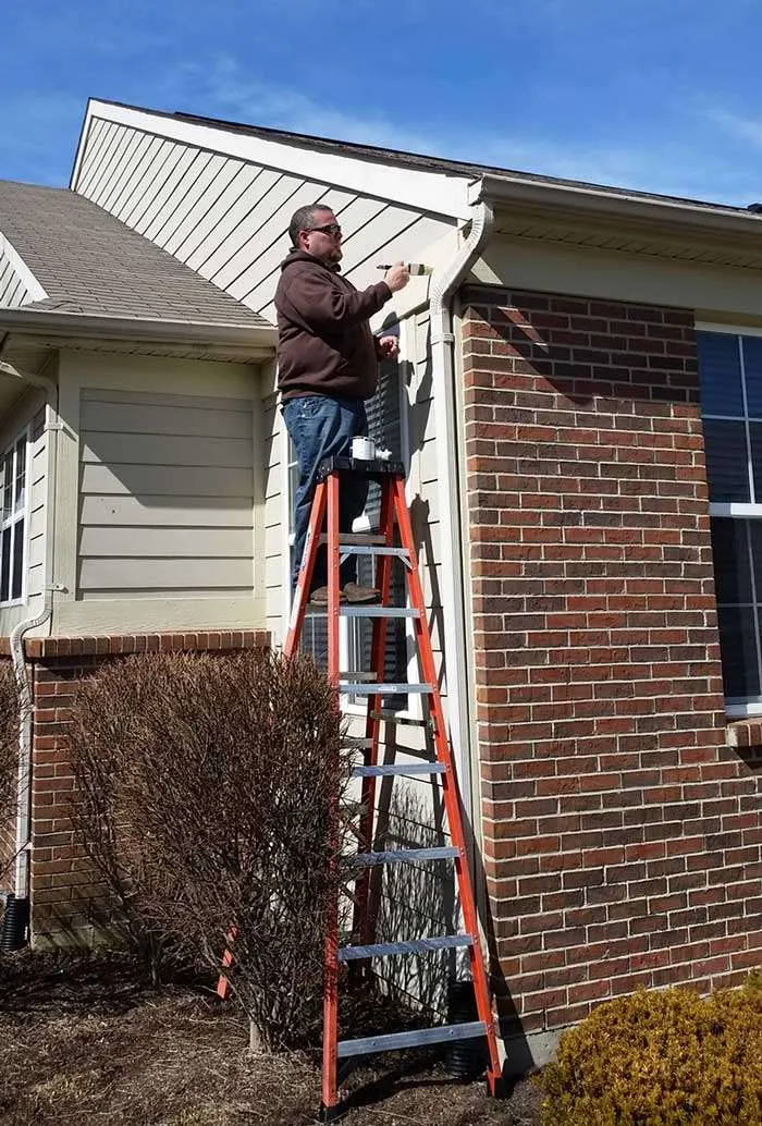 Beavercreek Animal Pest Removal Service Photo: Once we have finished removing an animal from your home we can repair all animal entrances and exits. We make sure your home looks like it never had animal damage whatsoever.