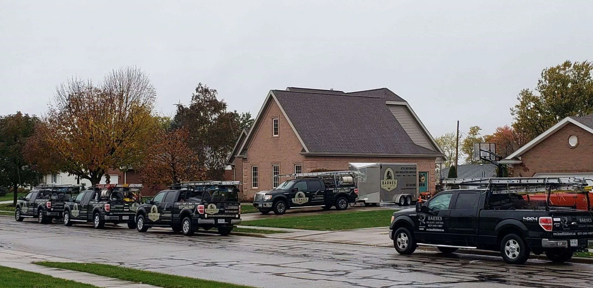 Montgomery County Animal Pest Removal Services photo of a number of our fleet vehicles working on a big job.