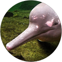 Alex profile picture