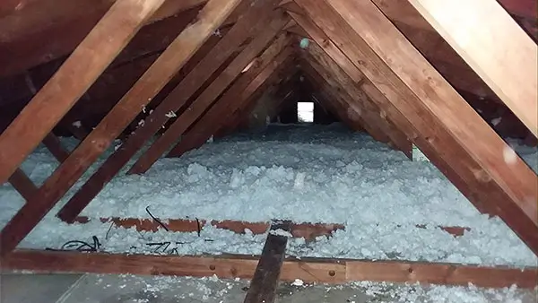 Photo at bat removal service page: Insulation replacement